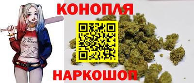 мяу мяу мука Заводоуковск