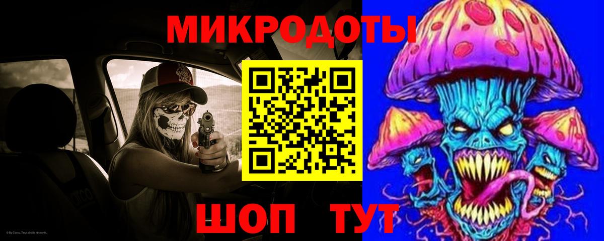 Псилоцибиновые грибы Psilocybine cubensis Бирск